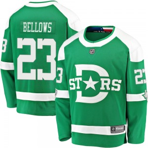 Brian Bellows Dallas Stars Fanatics Branded Breakaway 2020 Winter Classic Jersey (Green)